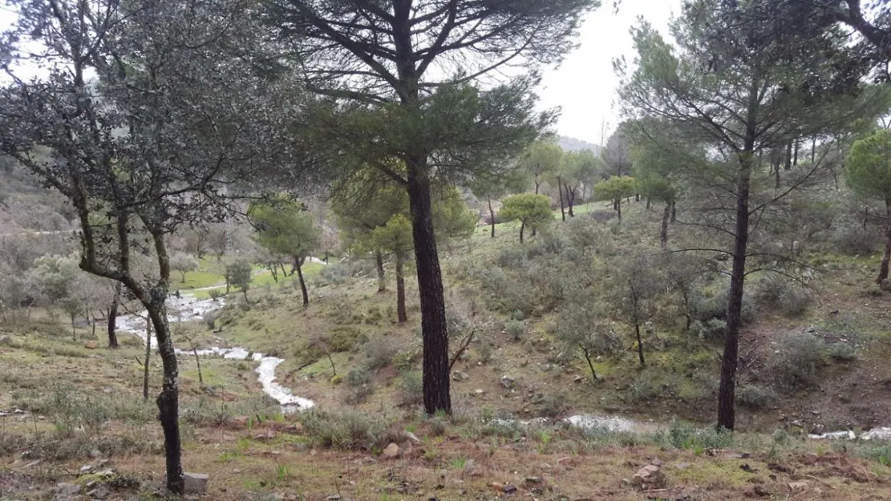 Aguila Imperial Rural Loft Villa Aldeaquemada España